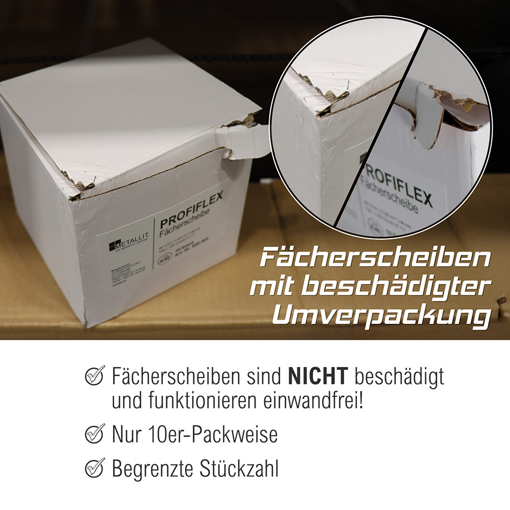 PGC0600200_502463_Profiflex_Faecherscheibe_B-Ware_(M2)