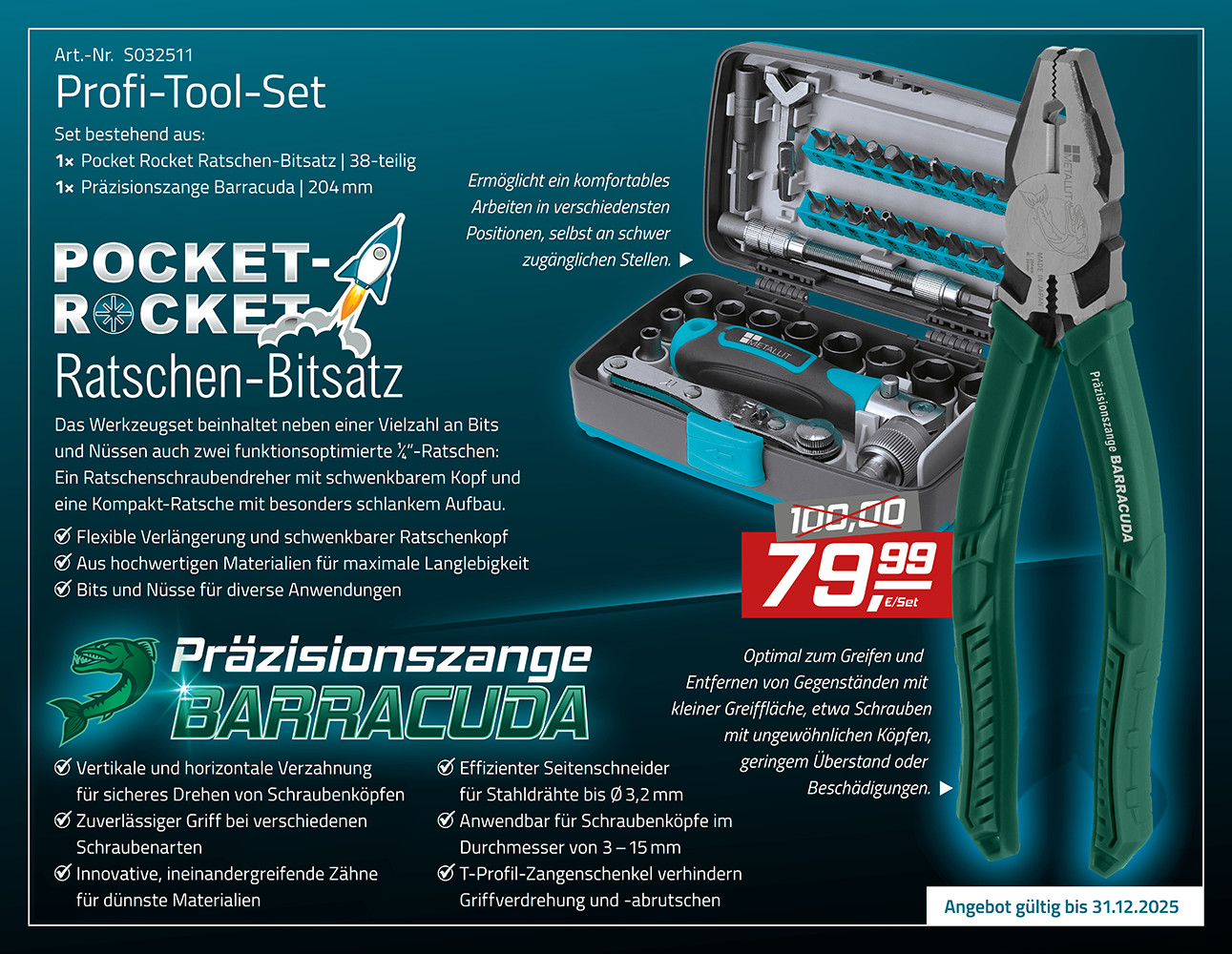 PGCAKTION1_S032511_Profi-Tool-Set_(M)